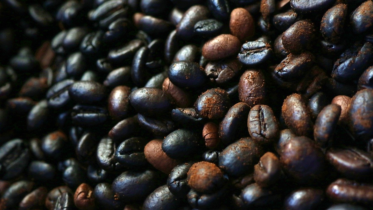 oily coffee beans good or bad