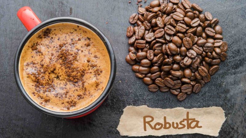 How To Brew Robusta Coffee So That It Tastes Good
